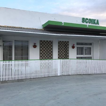 Pensiunea Scoika Steaguri Neptun Εξωτερικό φωτογραφία