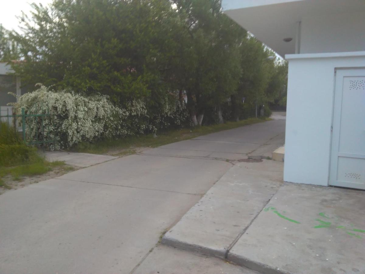 Pensiunea Scoika Steaguri Neptun Εξωτερικό φωτογραφία